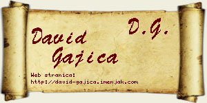 David Gajica vizit kartica